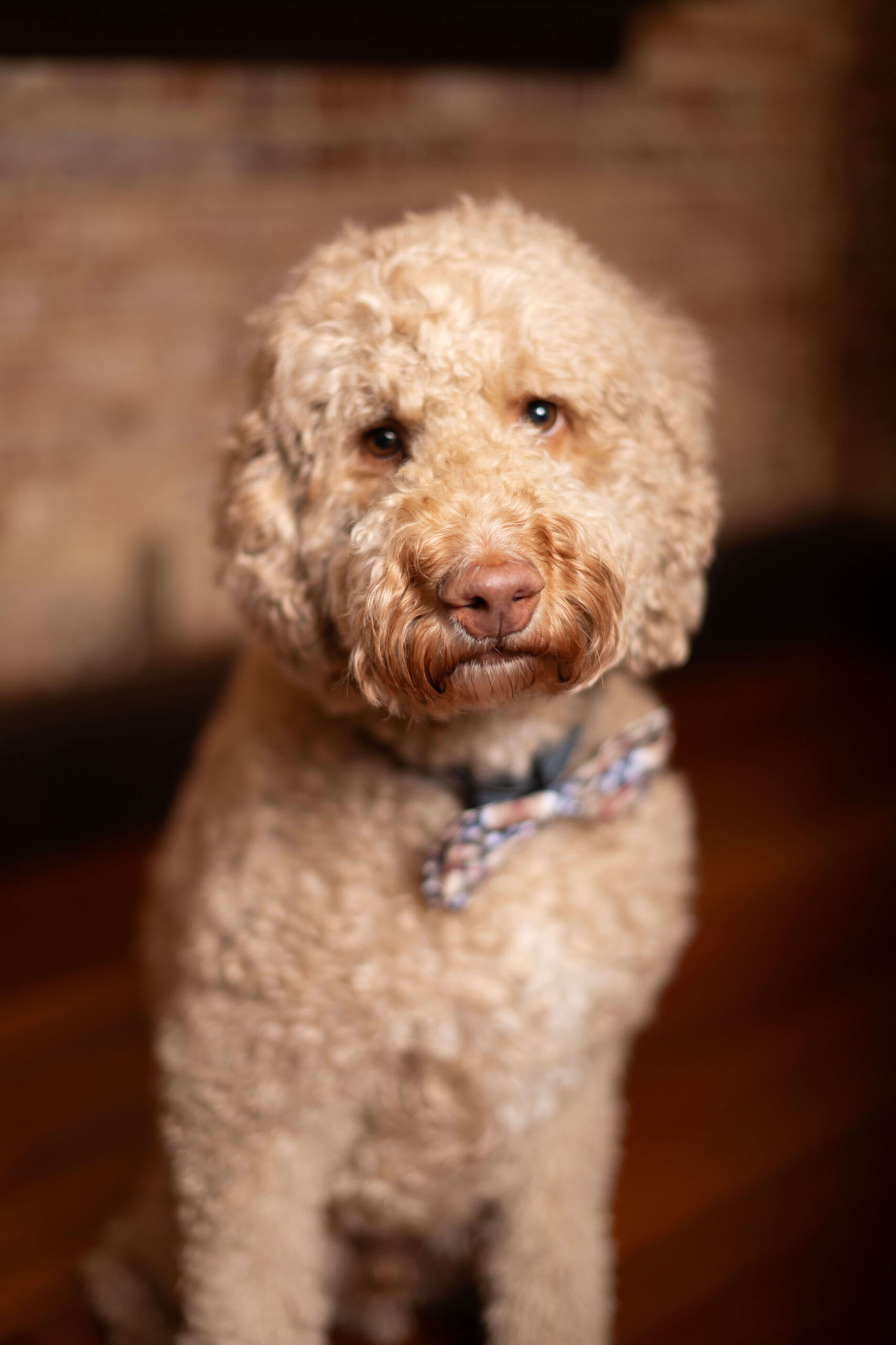 Walter